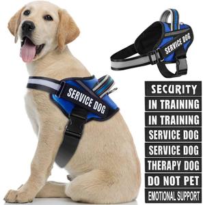 Dog Vest Harness and Patches Set, Animire in Training Service Dog Harness with 10 Dog Patches, Reflective Dog Vest with Handle for Large Dogs, Blue