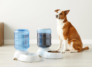 Amazon Basics Large Capacity Automatic Pet Water Dispenser and Gravity Feeder Set, Easy to Clean, 456.6fl.oz Food, 382.1fl.oz Water, Gray