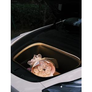 TPARTS Frunk LED Strip for Tesla Model Y 2020-2024 Ambient Lights Car Lights Model Y Interior Lighting Front Trunk Accessories