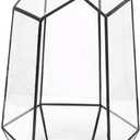 Home Plants Display Holder, Modern Glass Tabletop Succulent Plant Terrarium Box Plants Display Holder