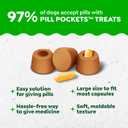 Greenies Pill Pockets for Dogs Large Size, Dog Treat Pouch for Capsule Medication, Variety Pack, 7.9 oz. Pouch (EXP 05/31/27)
