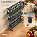 Growell Large Basket Hydroponics Growing System Kit, 48 Pods Vertical Hydroponic Garden with 2 Grow Light Modes, Auto Circulating Water System, 40L Indoor Gardening System for Herb Vegetable Fruit