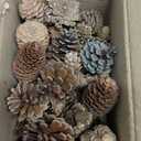 Jangostor 60 Pine Cones Decorations - Natural Bulk Package, Large Medium & Mini Sizes - Rustic Pine Cone Ornaments for Table, Christmas Tree, Crafts, Gifts, Thanksgiving, Xmas Home Decor