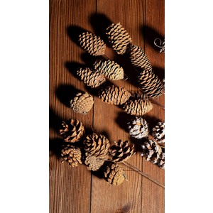 Deloky 2 PCS Large Natural Pinecone Branches Ornaments-14 Inch Spray Pinecones Picks Stmes-Pine Cones for Crafts Flower Arrangement Fall Thanksgiving Christmas Decor