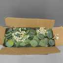 Der Rose 2 Pcs 13FT Artificial Flower Garland, White Rose & Eucalyptus Floral Garland, Faux Flower Vine for Wedding Decor Table Runner Arch & Backdrop Decor