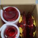 Kingsyard 2 Pack Glass Hummingbird Feeder for Outdoors Hanging - 6 Bee Guard Feeding Ports & Built-in Ant Moat, Wild Bird Feeder for Outside Garden Yard Patio 14 Oz, Red