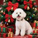 Lionet Paws Christmas Dog Collar- Cute Red&Green Stripes Dog Collars with Plastic Buckle and Christmas Hat Pendant,Light Dogs Collar for Medium Large Dogs (Large (Pack of 1))