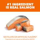 IAMS Proactive Health Dry Cat Food, Healthy Cat Food Dry Recipe for Adults, Salmon, 3.5 lb. Bag (EXP 06/13/27)