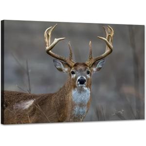 YIOZHAOFH Deer Wall Art Decor Wildlife Animal Elk Portrait Pictures Canvas Print Posters Forest Painting Modern Office Framed Artwork Ready to Hang(16" L x 24" W)