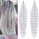 Boho Curly Wavy Braiding Hair Ocean Deep Wave Crochet Hair Braids 24 Inch 2 Packs Havana Curls Silver Grey Braiding Hair Pre Stretched Synthetic Hair Extensions Braids for Black Women