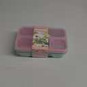 Bento Lunch Box Containers for Adults, Snackle Box Container with 2 Sauce Containers and Spoon, 2-Reusable Meal Prep Containers for Work, Travel (Pink/Green)