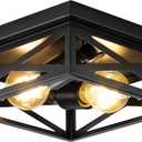 Black Rustic Metal Flush Mount Ceiling Light Fixture, 2-Light Industrial Farmhouse Hallway Light Fixtures, Metal Cage Closed to Ceiling Mounted Lights for Bedroom Kitchen Ceiling Lights (1 Pack(9.8 in))