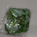 Amosfun 3 Bunches Potted Material Day Exquisite Bush Decorations Green Patricks St Faux Plants Fake Branch for Clover Simulation Silk Party Adornment Simulated Branc Leaves Vase