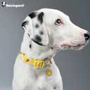 Cotton Dog Collar Yellow Flower Pattern for Boys and Girls Cute Dog Collars Summer Fall Gift Adjustable for Small to Medium Breed Dogs (XS)