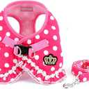 SMALLLEE_Lucky_Store Small Dog Cat Sweet Dots Pattern Vest Harness Leash Set Mesh Padded Lead Pink S (S(Chest Girth 12.6";Neck Girth 7.9"))