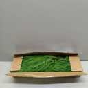 12 Pcs Christmas Norfolk Pine Branches, Artificial Pine Branches Norfolk Pine Stems DIY Crafts Faux Christmas Greenery Stems for Xmas Indoor Outdoor Home Decor (18 Inches)