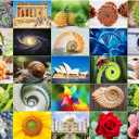 BenBen 1000 Piece Puzzle for Adults, 25 Fibonacci Spirals in Nature, Jigsaw Puzzles with Letters on Back, Challenging Puzzle for Game Night Home Dcor