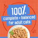 Purina Friskies Shreds Chicken and Salmon Dinner in Wet Cat Food Gravy - (Pack of 24) 5.5 oz. Cans