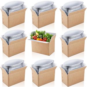 10 Pack Small Double Insulated Shipping Boxes, 9 x 6 x 5 in Small Chill Insulated Shipping Box with Aluminum Foil Insulated Bag,Cold Shipping Boxes for Frozen Food, Packing Mailing