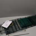 Qualirey 2 Pcs Humane Squirrel Trap Heavy Duty Live Animal Chipmunk Catch and Release Rat Trap for Outdoor Small Animals Mouse Raccoon Stray Cat Rodent Weasels(Green)