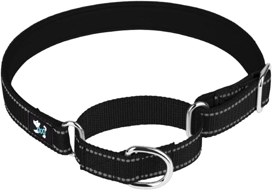 Adjustable Martingale Safety Training Dog Collars, Soft Neoprene Padded Breathable Nylon Pet Collar for Small Medium Large Dogs (L, Black)