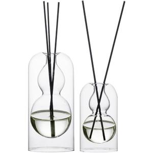 Empty Glass Fragrance Reed Diffuser Bottles, for Essential Oil, with 16pcs Black Reed Sticks, Minimalist Decor,2pcs/Set.