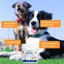 Premium Biotin for Dogs Powder with 58mg Biotin per oz, High Potency Dog Skin and Coat Supplement for Shedding and Dry Skin Relief, Dog Nail Strengthener with Yeast B-Vitamin Complex & 42% Protein, BB Date Not Found 