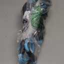 IVY&LANE No Pull Dog Harness for Medium Dogs, Dog Vest Harness with Leash, Safety Belt and Storage Strap, Fully Adjustable, 360 Reflective Strip, Soft Handle (Blue, M)