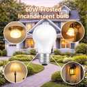 Light Bulb Frosted-60W - 1 Bulb (Pack of 6)