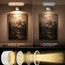 Picture Lights for Wall, 2000mAh Rechargeable Magnetic Art Lights with 3 Color Temps & RGB, Remote Dimmable Battery Operated Wall Light for Bedroom, Living Room, Gallery (White, 6 Pack)
