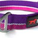 Tuff Pupper Heavy Duty Dog Collar | Tough Dogs Collar | Reflective Collars with Aluminum D-Ring Leash Clip | Separate ID Tag Attachment Keeps Engraved Dog Tags Quiet | Easy Sizing for All Breeds (Large (17 - 23" Neck), Punch Purple)