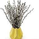 60 Stems 100% Natural 17.5 Inches Real Pussy Willow Flowers Pussy Willow Branches for Vases White Pussywillows for China Spring Festival Easter Wedding Home Party Hotel Fireplace Decor