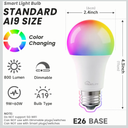 TREATLIFE Smart Light Bulbs Pack, UL Certified 2.4GHz Color Changing Light Bulb, Works with Alexa Google Home, A19 E26 Dimmable LED Light Bulb 9W 800 Lumen for Party Decoration, Smart Home Lighting