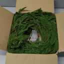 2 Pcs Christmas Garland with Lights 6 Ft, Real Touch Norfolk Pine Garland for Mantle, Christmas Decorations Indoor Outdoor for Wall Fireplace, Faux Greenery Cedar Garland Realistic for Table Decor