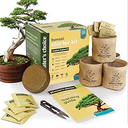 Bonsai Starter Kit  Gardening Easter Gift for Women & Men  Bonsai Tree Growing Garden Crafts Hobby Kits for Adults, Unique DIY Hobbies for Plant Lovers  Unusual Christmas Gifts Ideas