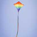 in The Breeze 30-inch Graphic Diamond Kites