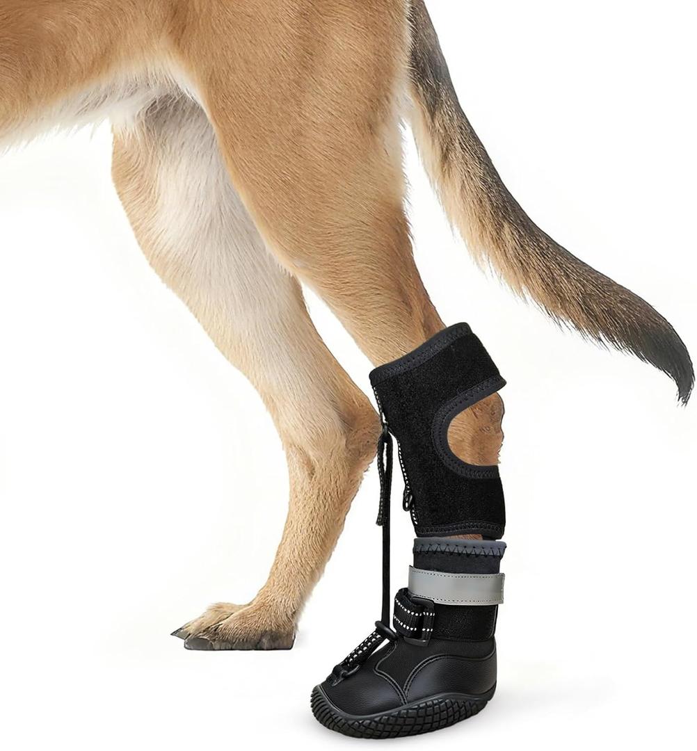 Idepet Dog Drop Foot Brace Strap On (No Knuckling Boot Brace)  Dog Boot Leg Braces for Leg Support, Dog Shoes Lift Toes for Foot Issues, Arthritis, Pet Corrector for Dogs (7)