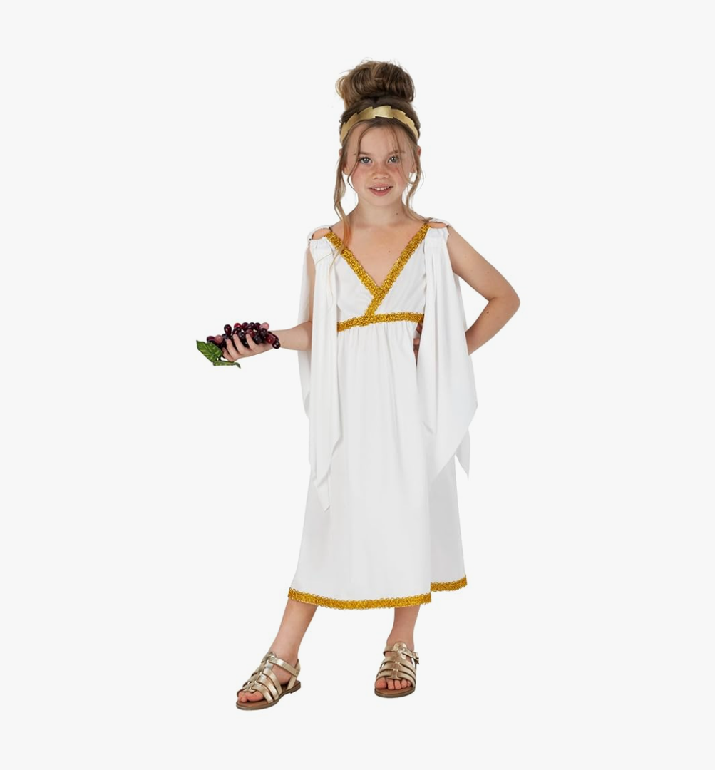 fun shack Kids Greek Goddess Costume Girls, Toga Costume Kids, Athena Costume Greek Costume Girls, Girls Goddess Costume (Medium)