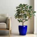 Ceramic Planter Pot - 10 Inch Plant Pot Indoor with Drainage Hole and Saucer Round Planter Large Modern Decorative Flower Pot Outdoor Garden Pot Blue