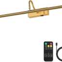 Picture Light,10000mAh Picture Lights for Wall with Remote,24 inch Art Light for Paintings, Gallery Lighting for Photo, Artwork Frame, Portrait(Gold) (23.6 inch)