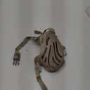 Dog Muzzle for Large Dogs, Silicone Basket Dog Muzzle for Large and Medium Dogs Breed Can Prevent Eating Chewing and Barking for Grooming Trimming Training (Coffee, L-6)