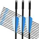 GPP Archery Beginner's First Arrows (30" Fiberglass Target Archery Arrows) - 12 Pack (Blue)