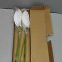 Ling's Moment White Anthurium Flowers, 8pcs Artificial Silk Filler Plants, Faux Greenery Stems for DIY Wedding Bouquets Centerpieces Arrangements Bridal Shower Party Home Decorations