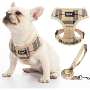 PUPTECK Soft Mesh Dog Harness and Leash Set Pet Puppy Cat Comfort Padded Vest No Pull Harnesses, Beige, L
