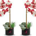Alabama Orchid Plant Set of 2 - University of Alabama Faux Orchid Plant - Alabama Gifts for Men, Alabama Gifts for Women - Alabama Gifts, Crimson Tide Decorations - Office Accessories for Men