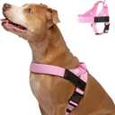 Dog Friendly Co. Dog Harness | Chafe Resistant Webbing, Adjustable Neck & Chest, and Heavy Duty D-Ring | Sturdy, Comfortable, Easy to Use | Pink, Size M