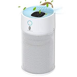 TaoTronics Air Purifier for Home 312 ft² Large Room H13 True HEPA Air Filter, CADR 300 m³/ h, Remove 99.97% Smoke Dust Mold Pollen Pet Dander, Air Cleaner with Sleep Mode Leather Handle