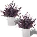 Coferset 2 Pack Small Fake Plants Eucalyptus Potted Artificial Plants Fall Decorations for Home Shelf Office Bathroom Desk Farmhouse Room Coffee Table Decor Halloween Decor (Plum)