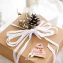 2 x HUIHUANG White Velvet Ribbon 3/8 inch x 25 Yards Single Face Velvet Ribbon for Gift Wrapping, Christmas Tree Ornaments, Wreath Decor, Invitations, Hair Bows, Flower Bouquet, Home Decor