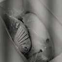 2026 Upgraded Portable Electric SpaceHeater Indoor Use, 1000W Energy-Saving PTC Ceramic Heater with Thermostat, 36dB Low-Noise, Overheat & Tip-Over Protection, 2 Modes - Home Bedroom Office (White)